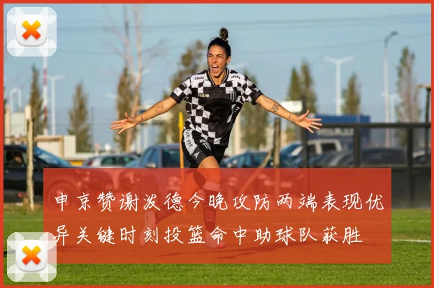 申京赞谢泼德今晚攻防两端表现优异关键时刻投篮命中助球队获胜