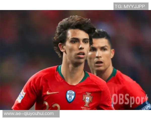 C罗带领葡萄牙国家队出征菲利克斯莱奥B费内维斯全员入选